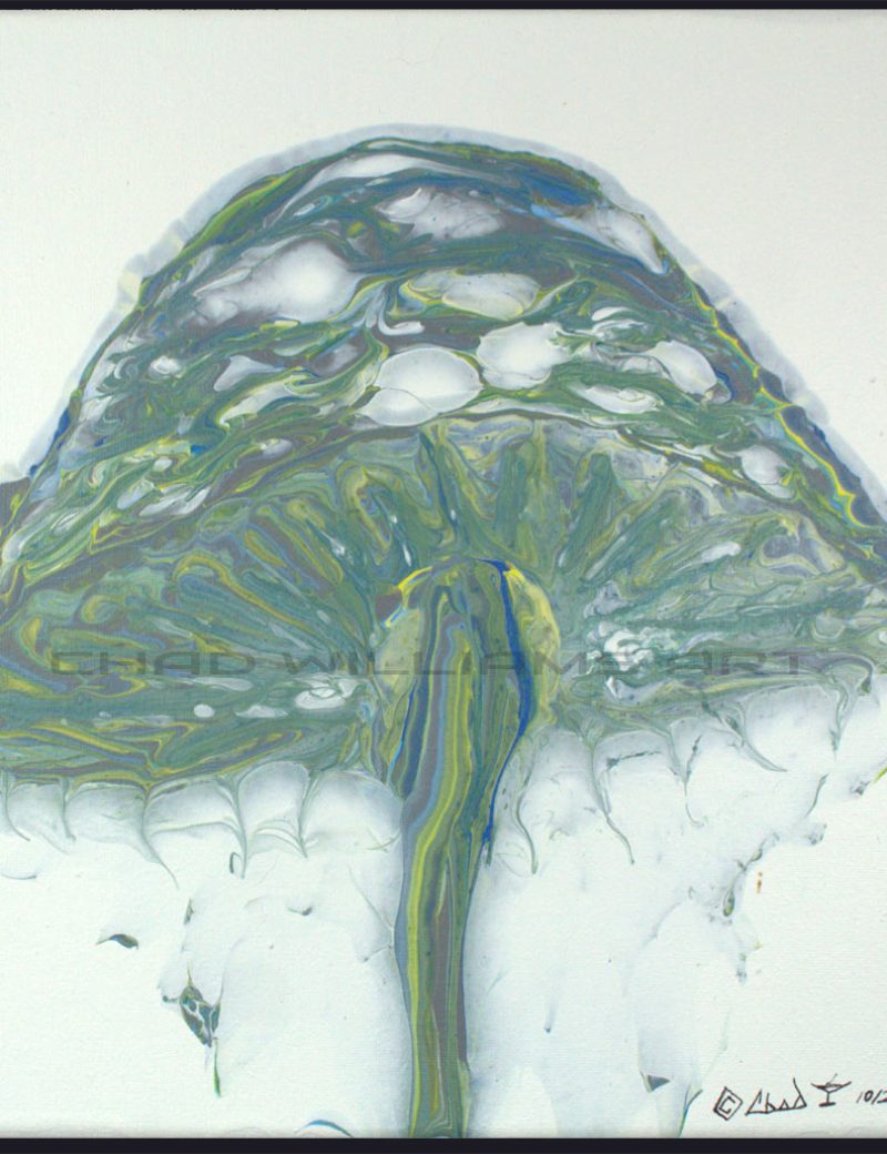 Jelly Mushroom Copyright 2025 Chad Williams